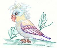Rainbow Bird